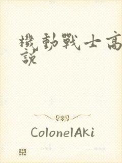 机动战士高达小说