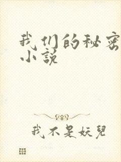 我们的秘密泰剧小说