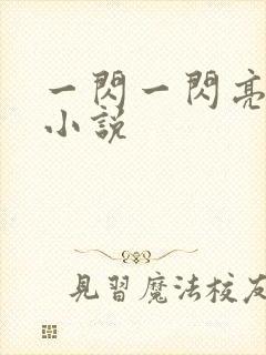 一闪一闪亮晶晶小说