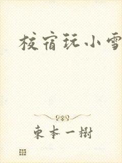 校宿玩小雪