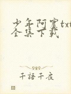 少年阿宾txt全集下载