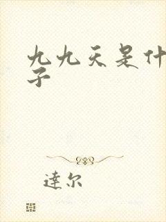 九九天是什么日子