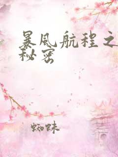 暴风航程之南海秘密