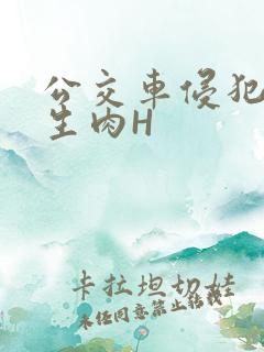 公交车侵犯小男生肉H