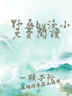 野桑by浅小说免费阅读