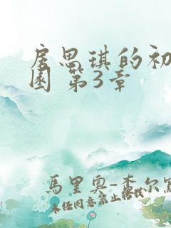 房思琪的初恋乐园 第3章