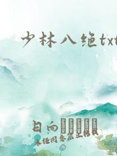 少林八绝txt