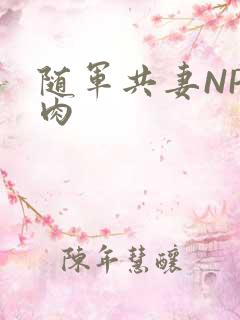 随军共妻NP纯肉