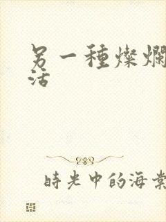 另一种灿烂的生活