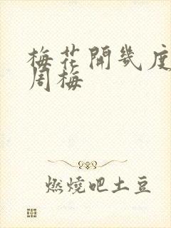 梅花开几度老张周梅