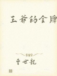 王爷的金牌暗卫