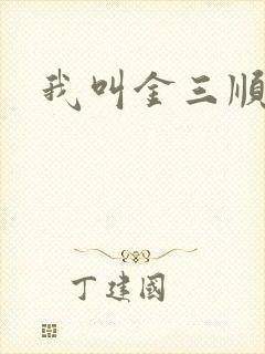 我叫金三顺下载