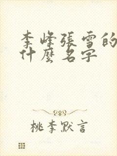 李峰张雪的书叫什么名字