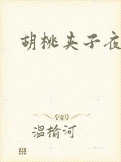 胡桃夹子夜未眠