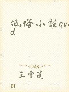 低俗小说qvod