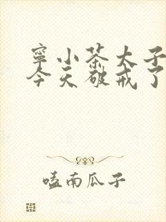宁小茶太子殿下今天破戒了吗免费阅读