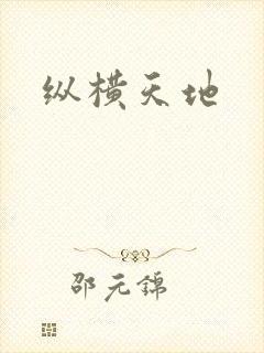 纵横天地