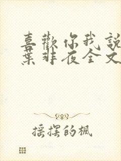 喜欢你我说了算叶非夜全文免费阅读