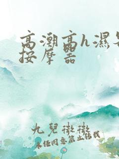 高潮高h湿各种按摩器