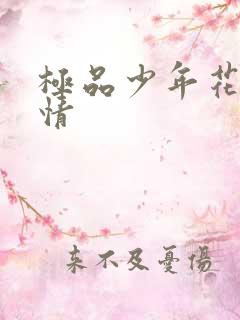 极品少年花都燃情