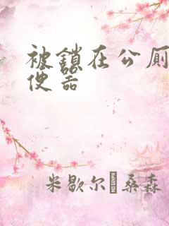 被锁在公厕当坐便器