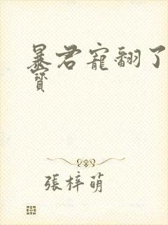 暴君宠翻了小娇宝