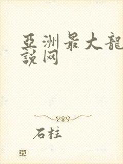 亚洲最大龙腾小说网