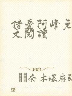 错爱阿峰免费全文阅读