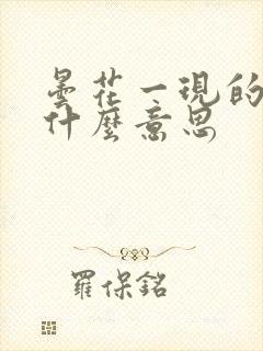 昙花一现的现是什么意思