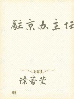 驻京办主任对手