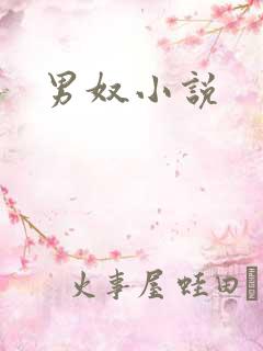 男奴小说