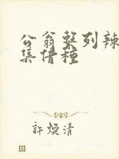 公翁系列辣文全集借种