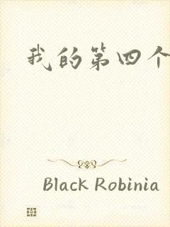 我的第四个老公