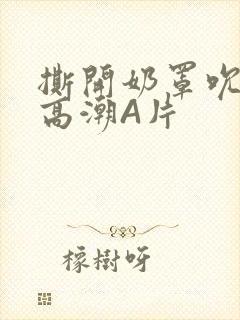 撕开奶罩吮奶头高潮A片