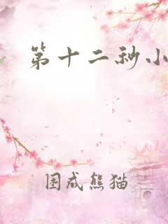 第十二秒小说