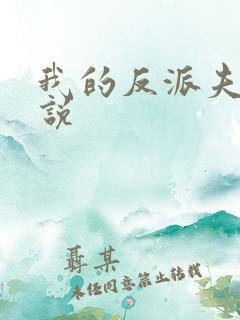 我的反派夫君小说