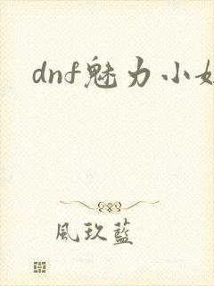 dnf魅力小妞