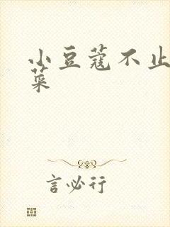 小豆蔻不止是颗菜