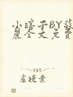 小瞎子BY苏玛丽全文免费笔趣阁