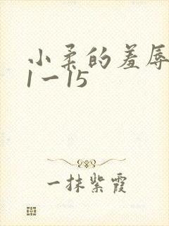 小柔的羞辱日记1一15