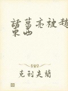 诸葛亮被赵云塞东西