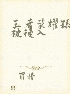 王者荣耀孙尚香被后入