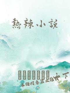 热辣小说