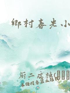乡村春光小说