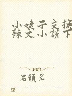 小婕子交换系列辣文小说下载