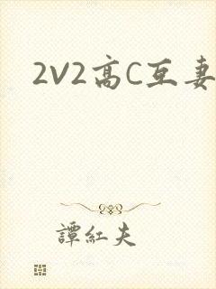 2V2高C互妻