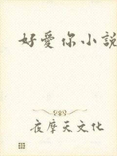 好爱你小说
