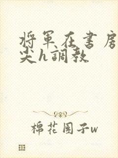 将军在书房含乳尖h调教