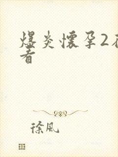 爆炎怀孕2在线看