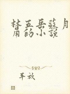 林五岳苏月灵主角的小说